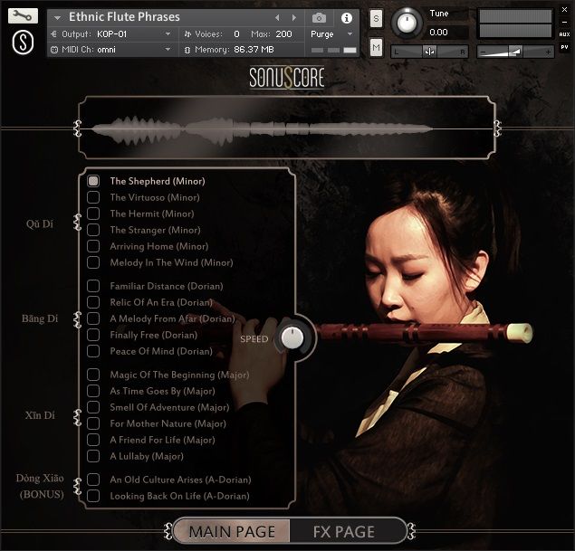 Ethnic Flute Phrases.jpg