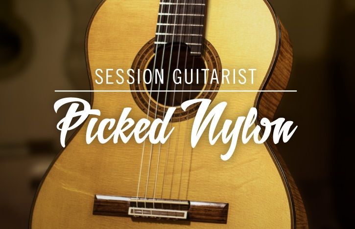 Session Guitarist - Picked Nylon.jpg