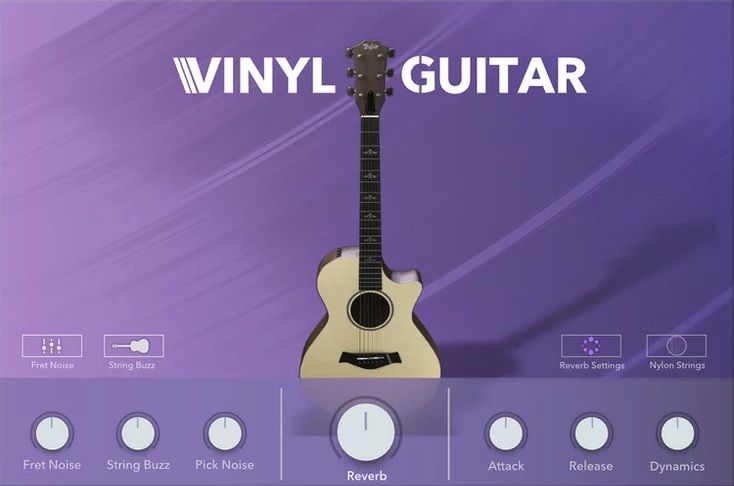 Vinyl Guitar - 1.jpg