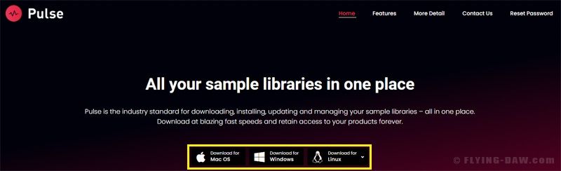 Pulsedownloader-1.jpg