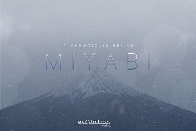 Chronicles Miyabi.jpg Chronicles Miyabi.jpg