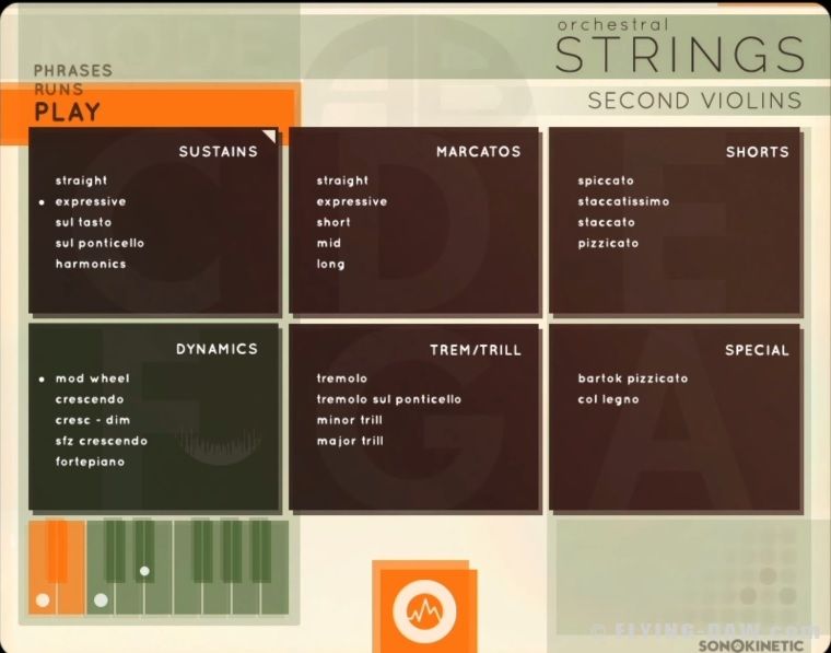 Orchestral Strings - 1.jpg