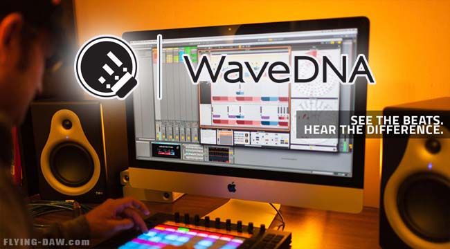 WaveDNA.jpg WaveDNA.jpg