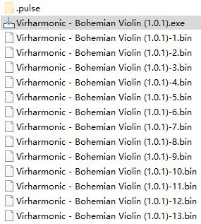 Bohemian V4 Active-2.jpg Bohemian V4 Active-2.jpg