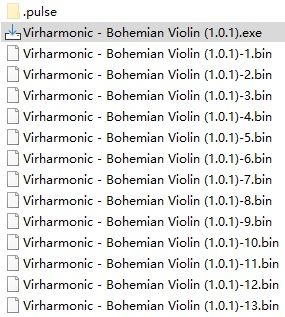 Bohemian V4 Active-2.jpg