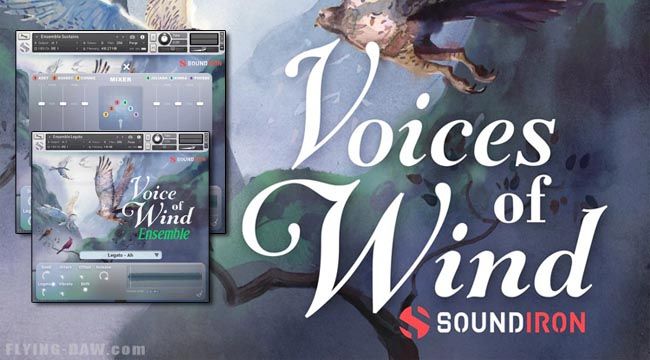 Voices of Wind Collection.jpg