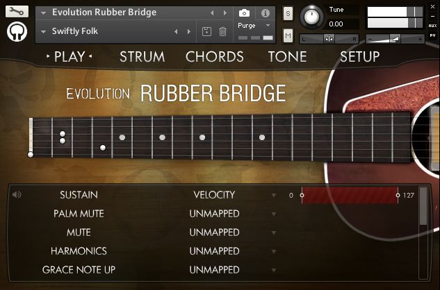 EvolutionRubberBridgeInterface.jpg EvolutionRubberBridgeInterface.jpg