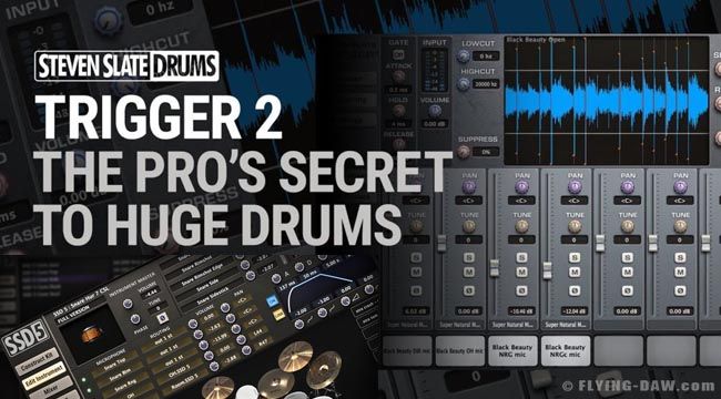 SSD5 & Trigger 2.jpg SSD5 & Trigger 2.jpg