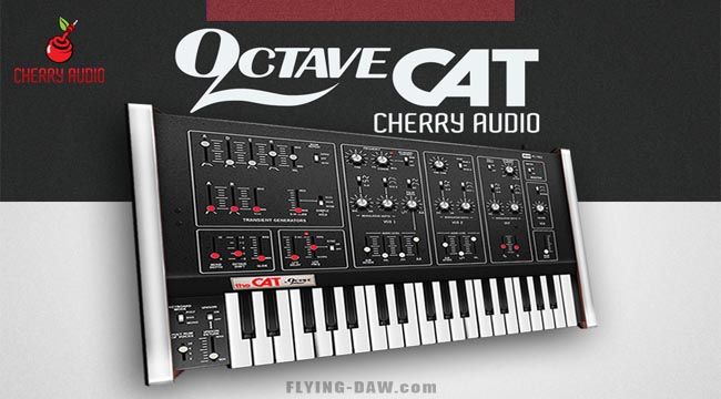 Octave Cat.jpg