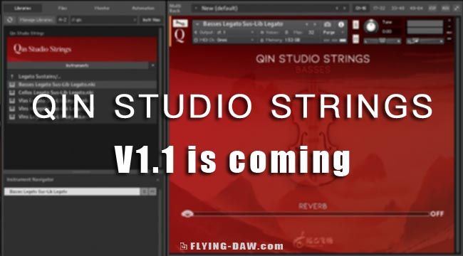 QIN Strings 1.jpg QIN Strings 1.jpg