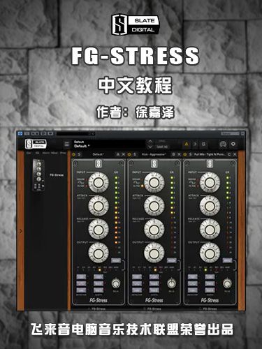 FG-Stress XuJiaZe.jpg