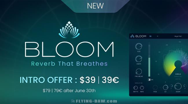Bloom.jpg Bloom.jpg