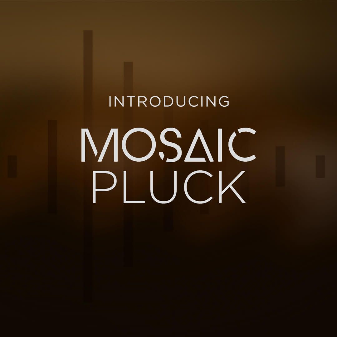 Mosaic Pluck-1.jpg