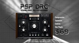 PSP DRC.jpg