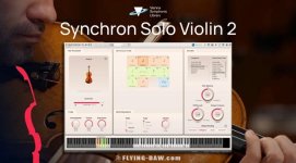 Solo Violin 2.jpg