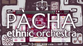 Pacha.jpg