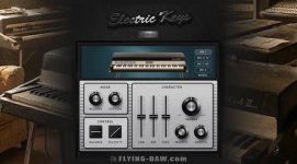 Electric Keys Tines.jpg