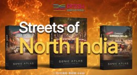 Streets of North India.jpg