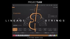 Lineage Strings.jpg