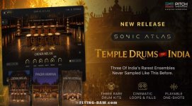 Temple Drums of India.jpg